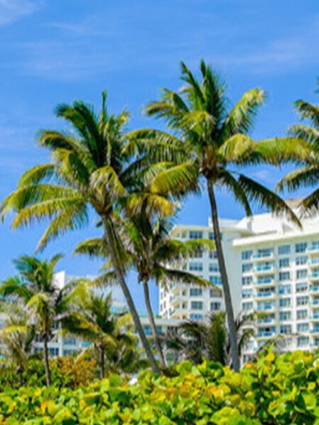 South Florida Painting Company